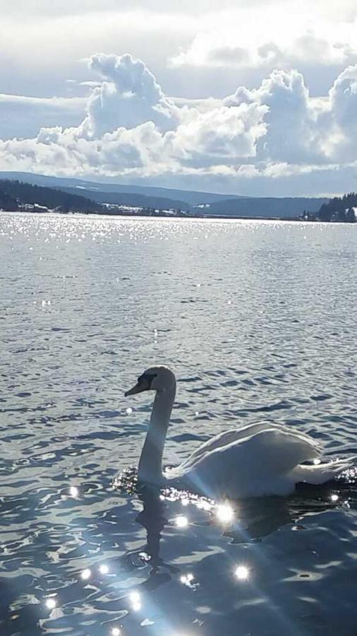 L'Ecrin Du Lac Saint-Point-Lac Dış mekan fotoğraf